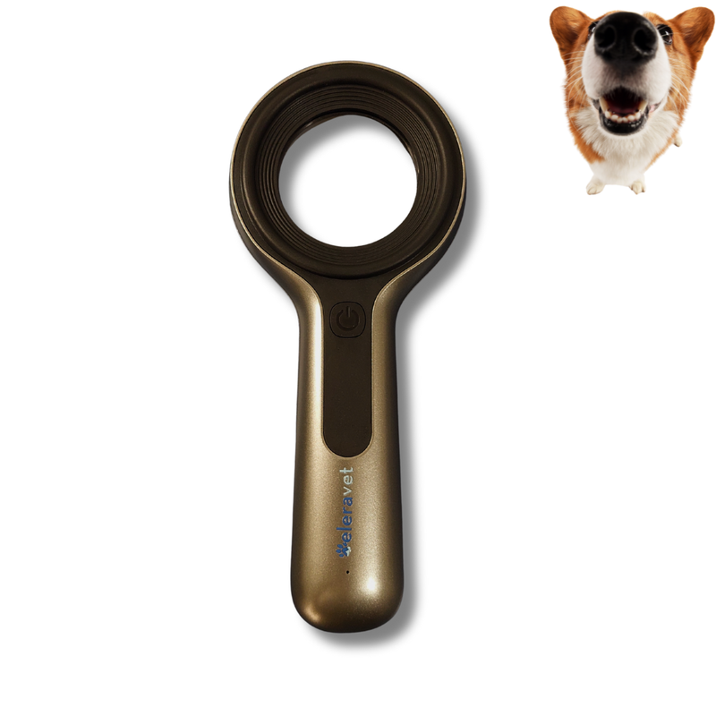 Lâmpada de Wood EV-LW2 Veterinária