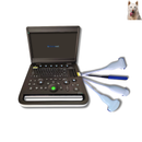 Ultrassom Portátil 15,6" EV-US2 Color Veterinário
