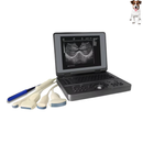 Ultrassom Portátil 12.1" EV-UT2 Veterinário