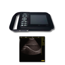 Ultrassom Portátil com Tela 5,6" EV-UT1 Veterinário