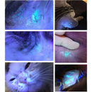 Kit Dermatologia EV-LT1 + EV-LW2 Veterinária