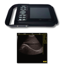 Ultrassom Portátil com Tela 5.6" EV-UT1 Vet