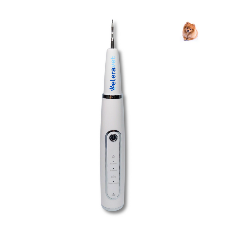 Ultrassom Odontológico Portátil EV-UO1 Veterinário