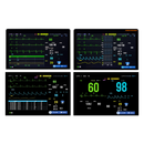 Monitor Multiparamétrico Modular 12" EV-MM12 Plus Veterinário