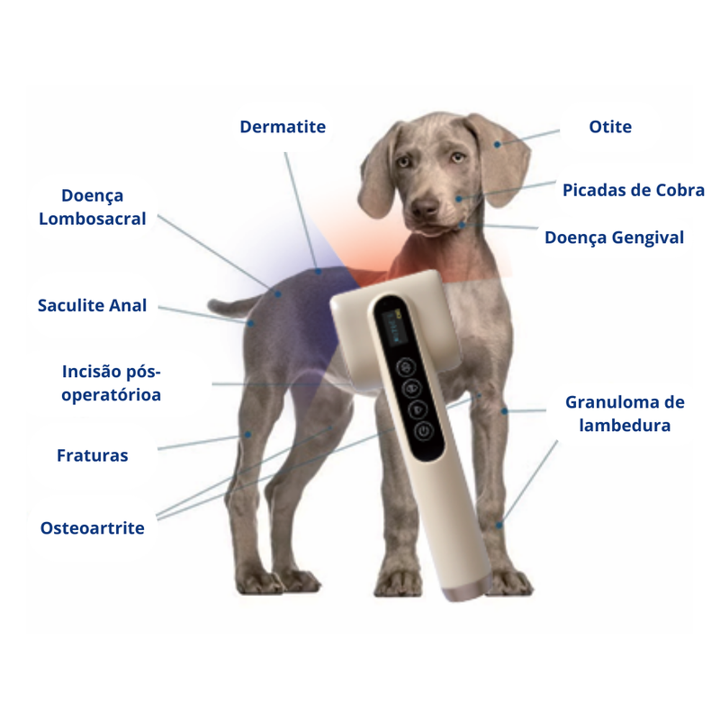 Dispositivo de Led Terapia EM-LT1 Veterinário 2