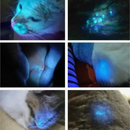 Kit Dermatologia EV-LT1 + EV-LW1 Veterinária