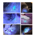 Lâmpada de Wood EV-LW2 Veterinária